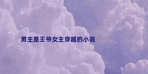 男主是王爷女主穿越的小说