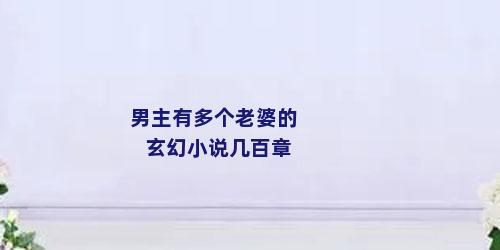 男主有多个老婆的玄幻小说几百章