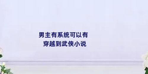 男主有系统可以有穿越到武侠小说