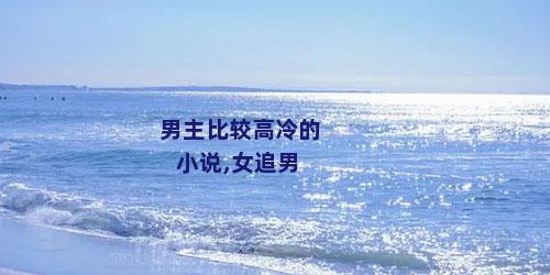 男主比较高冷的小说,女追男