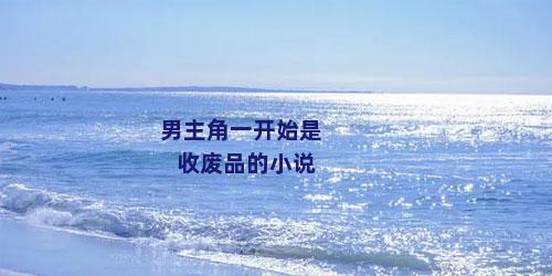 男主角一开始是收废品的小说