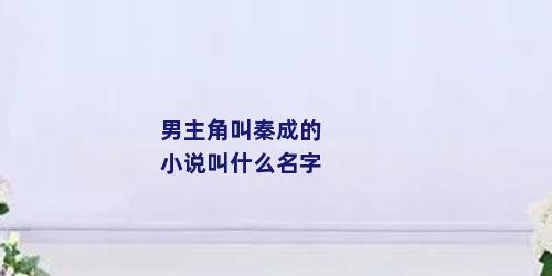 男主角叫秦成的小说叫什么名字