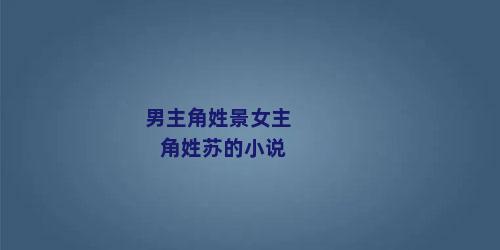 男主角姓景女主角姓苏的小说