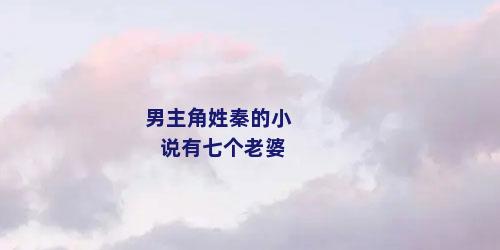 男主角姓秦的小说有七个老婆