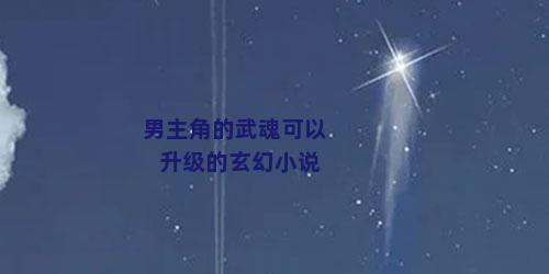 男主角的武魂可以升级的玄幻小说