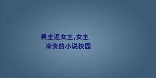 男主追女主,女主冷淡的小说校园