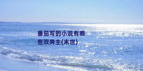番茄写的小说有哪些双男主(末世)
