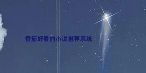番茄好看的小说推荐系统