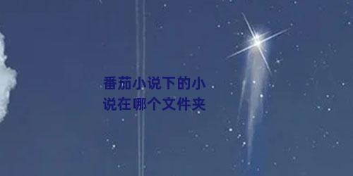 番茄小说下的小说在哪个文件夹