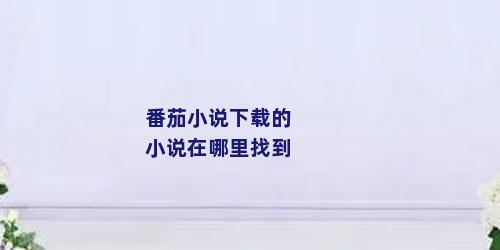番茄小说下载的小说在哪里找到