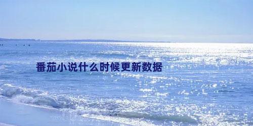 番茄小说什么时候更新数据