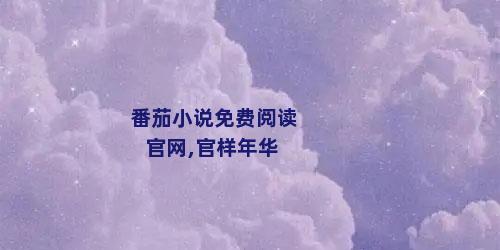 番茄小说免费阅读官网,官样年华