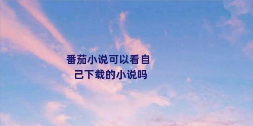 番茄小说可以看自己下载的小说吗