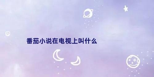 番茄小说在电视上叫什么