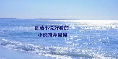 番茄小说好看的小说推荐男男