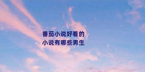番茄小说好看的小说有哪些男生