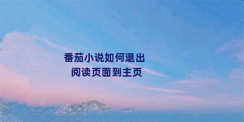 番茄小说如何退出阅读页面到主页