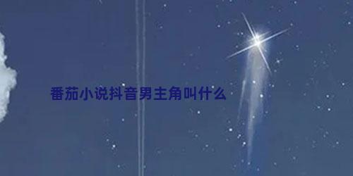 番茄小说抖音男主角叫什么