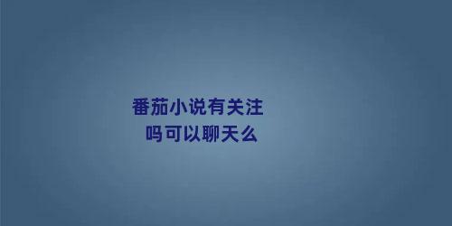 番茄小说有关注吗可以聊天么
