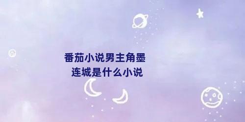 番茄小说男主角墨连城是什么小说