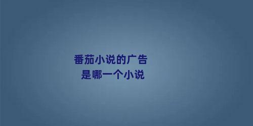 番茄小说的广告是哪一个小说