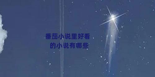 番茄小说里好看的小说有哪些