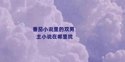 番茄小说里的双男主小说在哪里找
