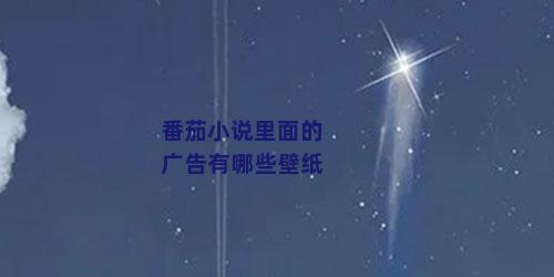 番茄小说里面的广告有哪些壁纸