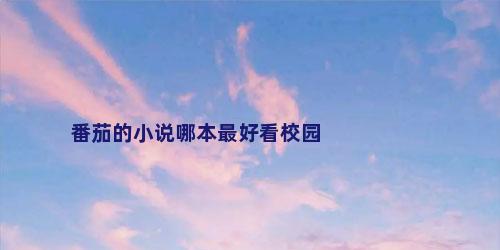 番茄的小说哪本最好看校园