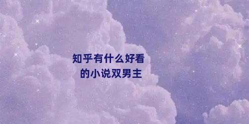 知乎有什么好看的小说双男主