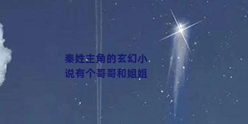 秦姓主角的玄幻小说有个哥哥和姐姐
