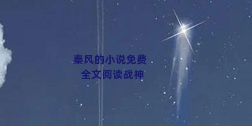 秦风的小说免费全文阅读战神