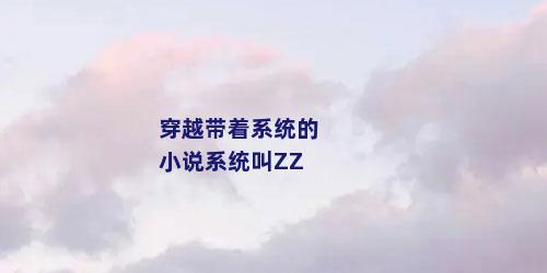 穿越带着系统的小说系统叫ZZ