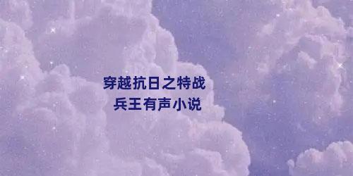 穿越抗日之特战兵王有声小说