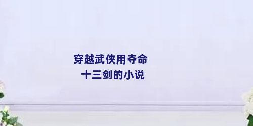 穿越武侠用夺命十三剑的小说