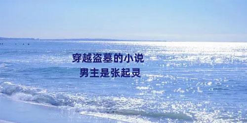 穿越盗墓的小说男主是张起灵