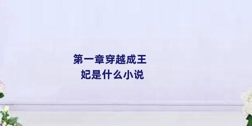 第一章穿越成王妃是什么小说