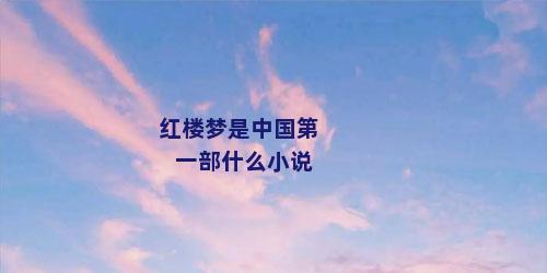 红楼梦是中国第一部什么小说