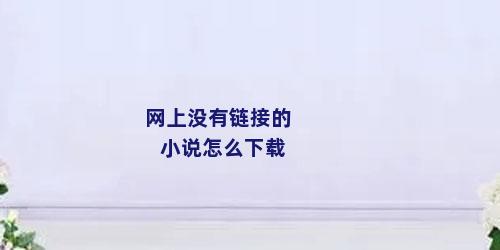 网上没有链接的小说怎么下载