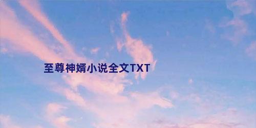 至尊神婿小说全文TXT