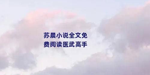 苏晨小说全文免费阅读医武高手