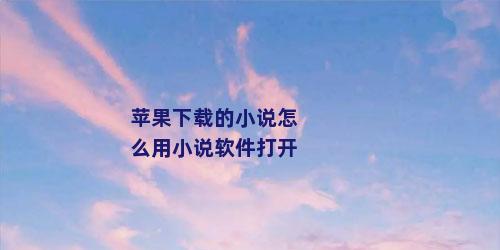 苹果下载的小说怎么用小说软件打开