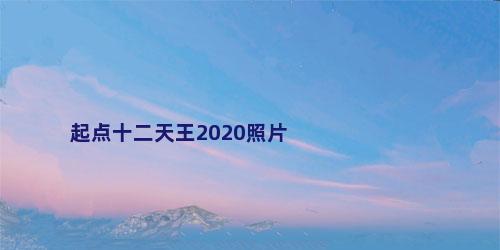 起点十二天王2020照片