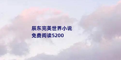 辰东完美世界小说免费阅读5200