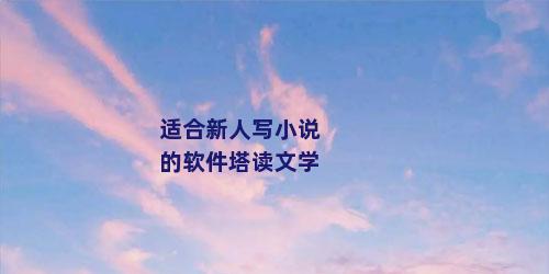 适合新人写小说的软件塔读文学