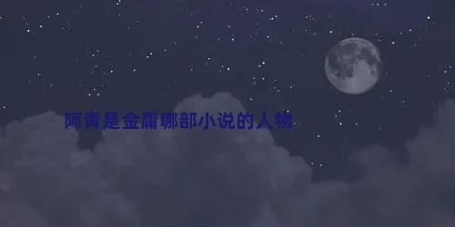 阿青是金庸哪部小说的人物