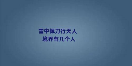 雪中悍刀行天人境界有几个人