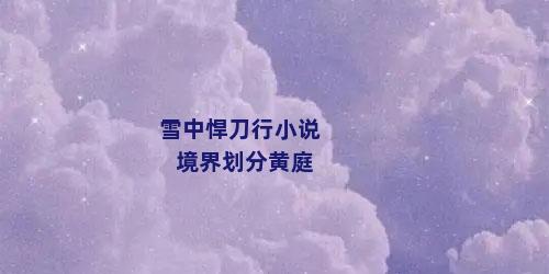 雪中悍刀行小说境界划分黄庭