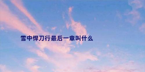 雪中悍刀行最后一章叫什么