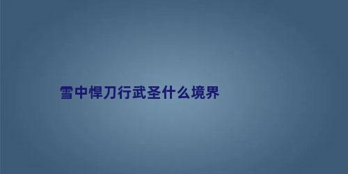 雪中悍刀行武圣什么境界